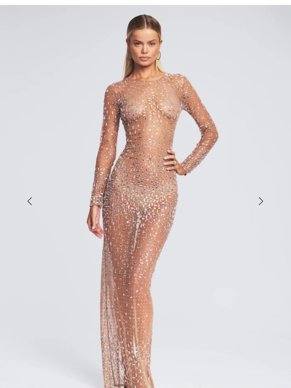 Retrofete Nude Sheer Crystal-Embellished Long-Sleeve Gown